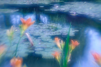 Monets Garden