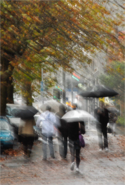 'Walking in the Rain'
