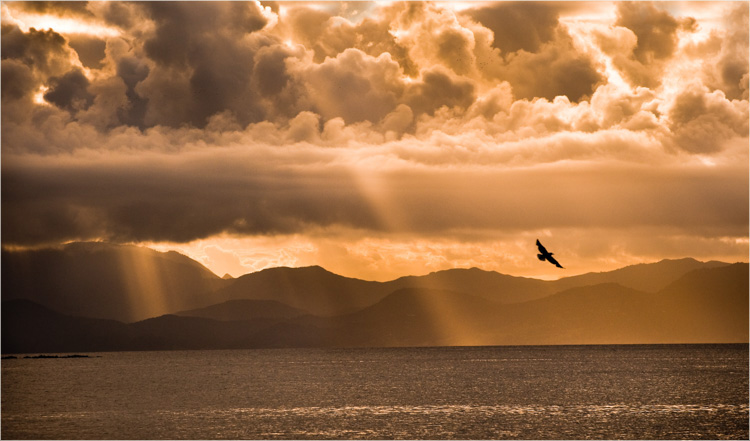  'DAY'S END' North Shore National Salon of Photography 2010. 14th Laurie Thomas New Zealand Landscape Salon 2010.