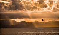 All content © 2024 Raewyne Cathie Photographics