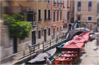 All content © 2024 Raewyne Cathie Photographics