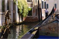 All content © 2024 Raewyne Cathie Photographics