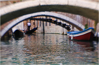 All content © 2024 Raewyne Cathie Photographics