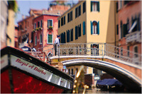 All content © 2024 Raewyne Cathie Photographics