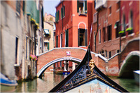 All content © 2024 Raewyne Cathie Photographics