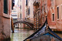 All content © 2024 Raewyne Cathie Photographics