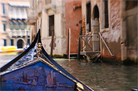 All content © 2024 Raewyne Cathie Photographics