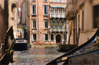 All content © 2024 Raewyne Cathie Photographics