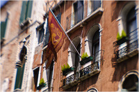 All content © 2024 Raewyne Cathie Photographics