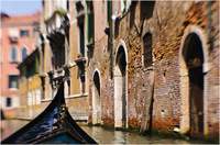 All content © 2024 Raewyne Cathie Photographics