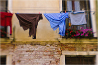 All content © 2024 Raewyne Cathie Photographics