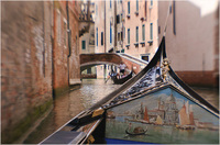 All content © 2024 Raewyne Cathie Photographics