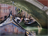 All content © 2024 Raewyne Cathie Photographics