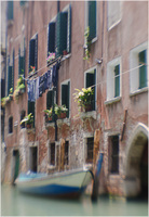 All content © 2024 Raewyne Cathie Photographics