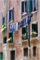 All content © 2024 Raewyne Cathie Photographics