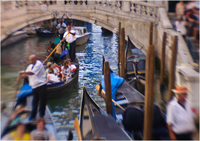 All content © 2024 Raewyne Cathie Photographics