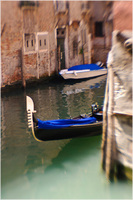 All content © 2024 Raewyne Cathie Photographics