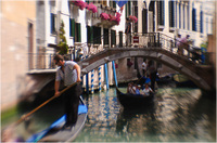 All content © 2024 Raewyne Cathie Photographics