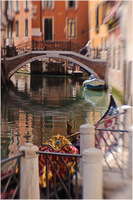 All content © 2024 Raewyne Cathie Photographics