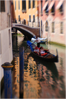 All content © 2024 Raewyne Cathie Photographics