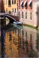 All content © 2024 Raewyne Cathie Photographics