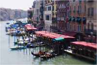 All content © 2024 Raewyne Cathie Photographics