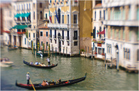 All content © 2024 Raewyne Cathie Photographics