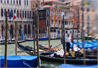 All content © 2024 Raewyne Cathie Photographics