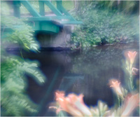 All content © 2022 Raewyne Cathie Photographics