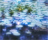 All content © 2022 Raewyne Cathie Photographics