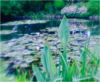 All content © 2022 Raewyne Cathie Photographics