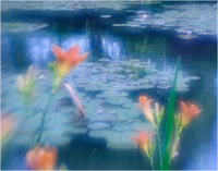 All content © 2022 Raewyne Cathie Photographics