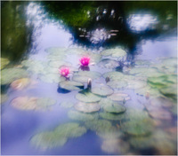 All content © 2022 Raewyne Cathie Photographics