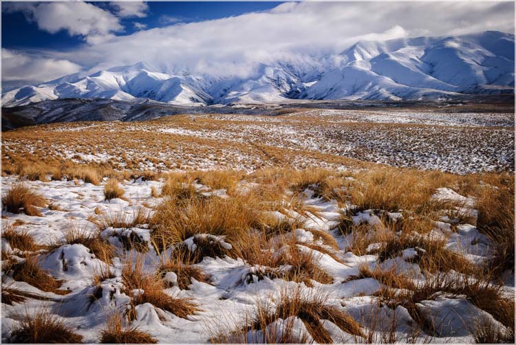 Maniototo, NZ-8