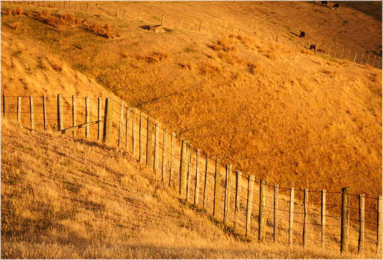Martinborough Hills-2