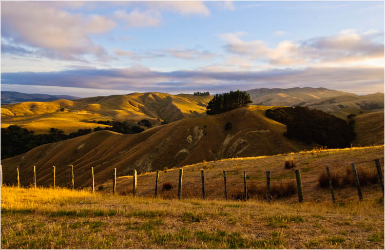 Martinborough Hills-3
