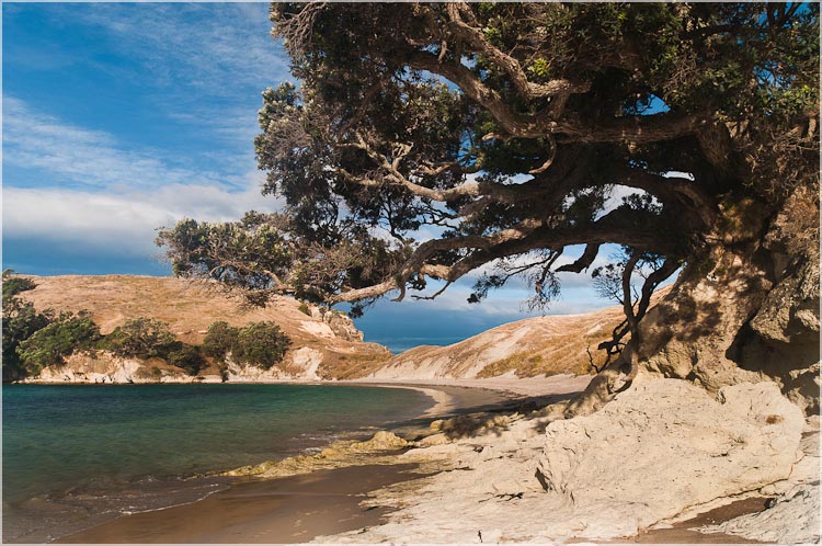 Mercury Islands, NZ-1