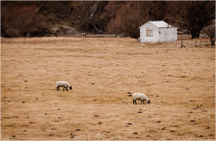 Central Otago, NZ-2