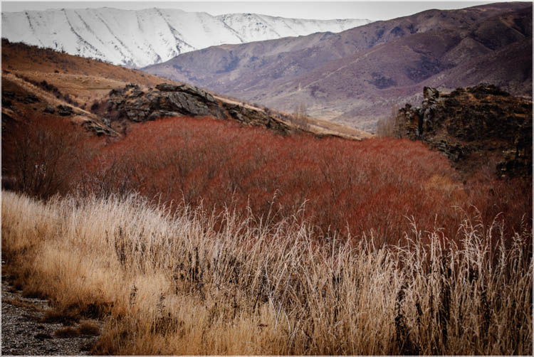 Central Otago, NZ-3