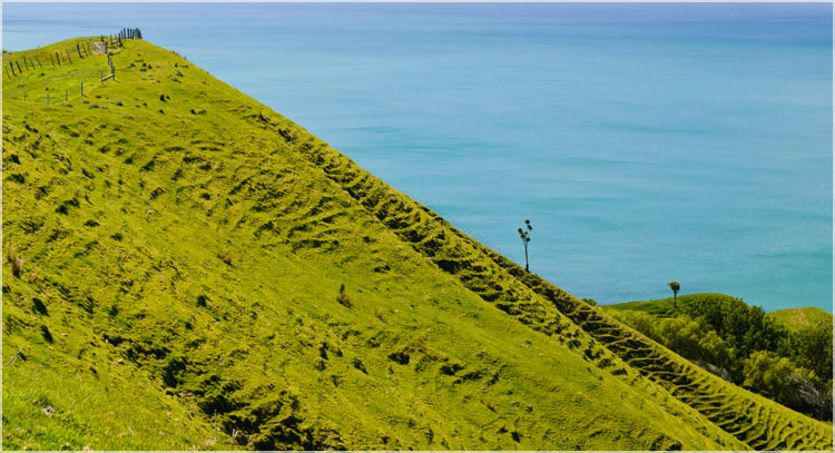Gisborne Hills, NZ-1