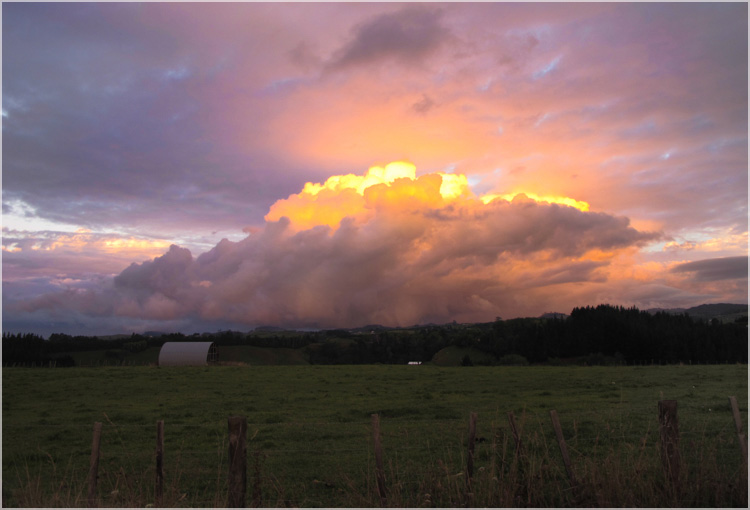 Oropi Hills, NZ