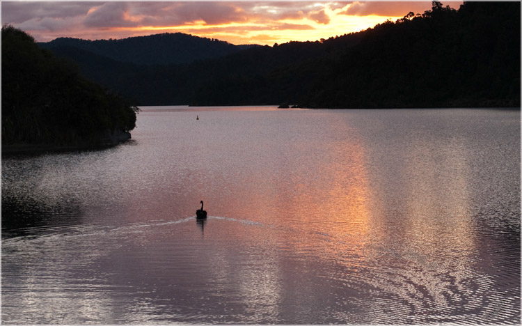 Lake Waikaremoana, NZ-1