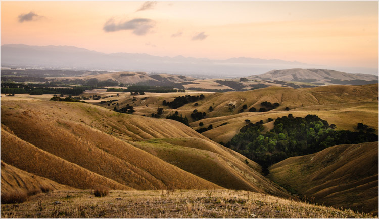 Martinborough Hills-1