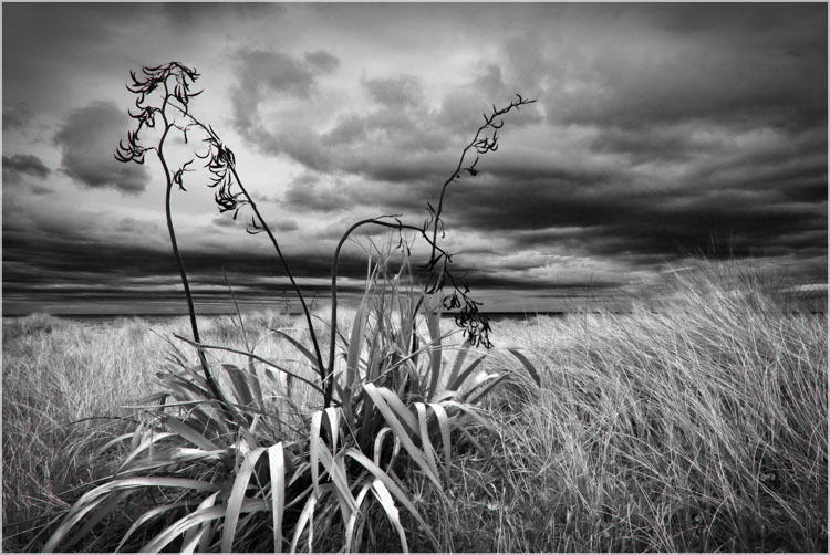 Wairarapa Coast, NZ-BW-1