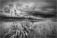 All content © 2022 Raewyne Cathie Photographics