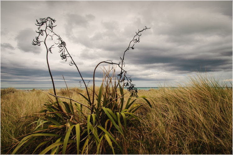 Wairarapa Coast, NZ-1