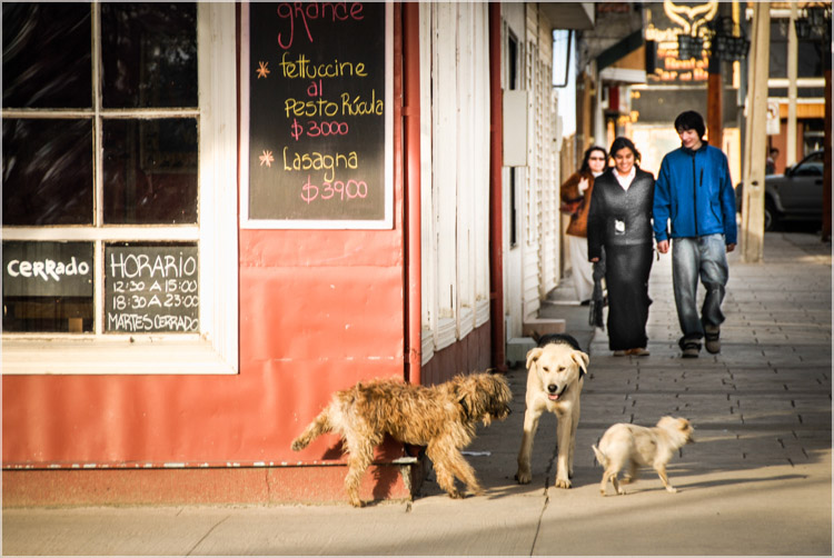 Puerto Natales Pategonia, Chile-4