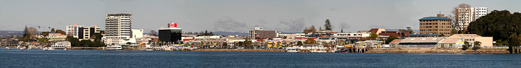 Tauranga Cityscape.
max length.12inch x 92inch-2.jpg