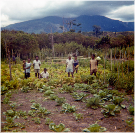 Wau-Highlands. Vege gardens-2.