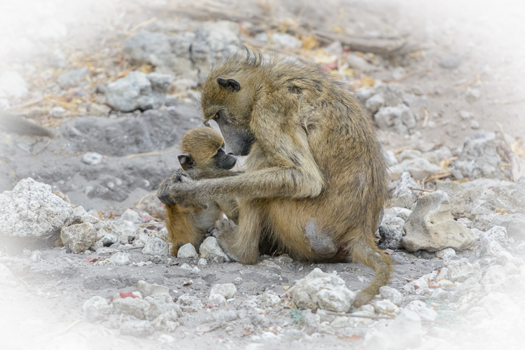 Mother Love